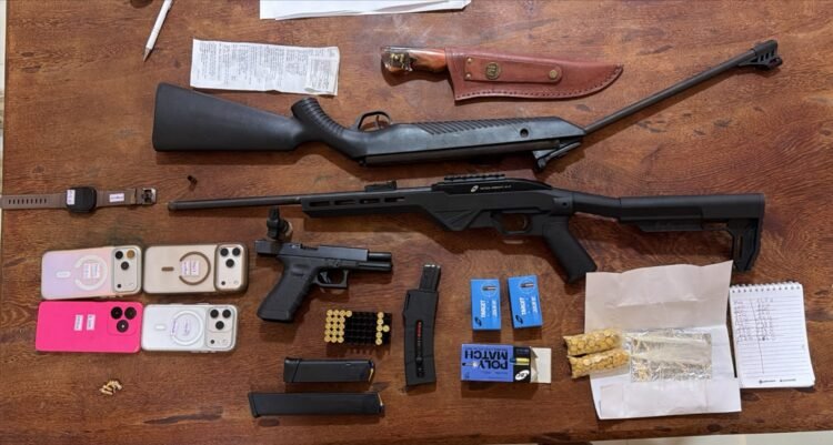 armas apreendidas