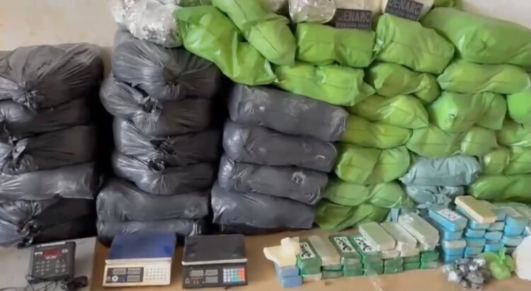 toneladas de drogas apreendidas na bahia