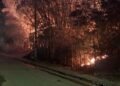 incêndio no Cemitério de Santo Amaro