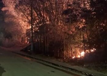 Fogo atinge área do cemitério de Santo Amaro e PM desmente fake news 4 incêndio no Cemitério de Santo Amaro
