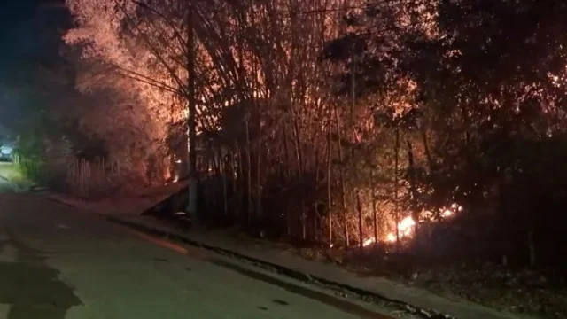 incêndio no Cemitério de Santo Amaro