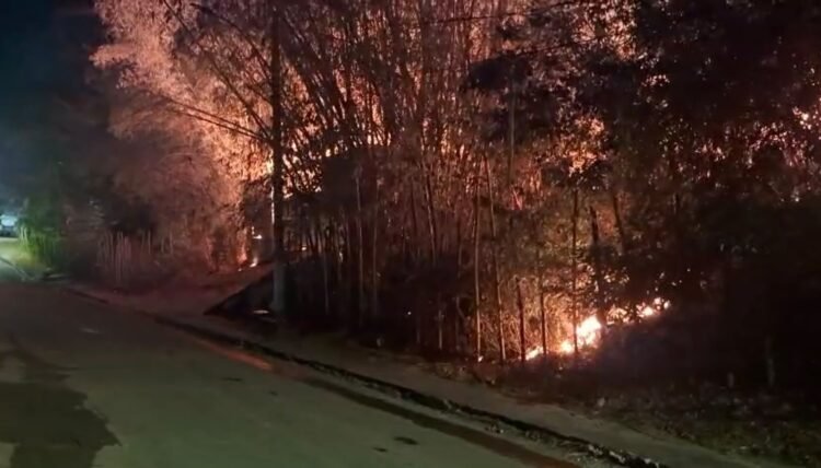Fogo atinge área do cemitério de Santo Amaro e PM desmente fake news 1 incêndio no Cemitério de Santo Amaro