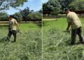 André Marques cuida pessoalmente de fazenda da família e impressiona
