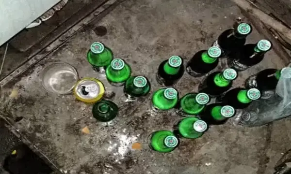 bebidas - garrafa de cervejas