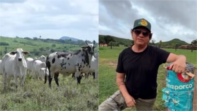 Chitãozinho mantém fazenda de luxo com 10 mil cabeças de gado em Goiás