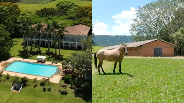 Fazenda de Ana Maria Braga em Bofete reúne café e família