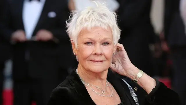 Judi Dench lida com doença degenerativa após carreira brilhante