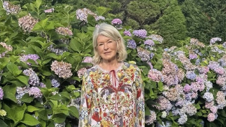 Martha Stewart revela faturamento milionário com royalties e impacto de prisão