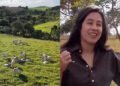 Monyque Isabella: a trajetória da filha de Leonardo no agronegócio 3 Monyque Isabella: a trajetória da filha de Leonardo no agronegócio