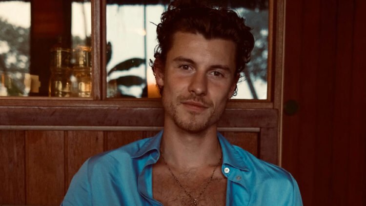 Shawn Mendes: conheça a origem da fortuna milionária do cantor 1 Shawn Mendes: conheça a origem da fortuna milionária do cantor