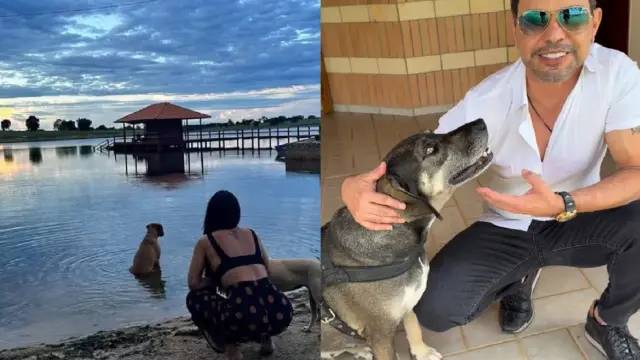 Zezé Di Camargo transforma fazenda em Goiás em refúgio para animais